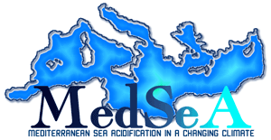 MedSeA Project